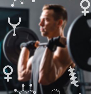 male hormone balance